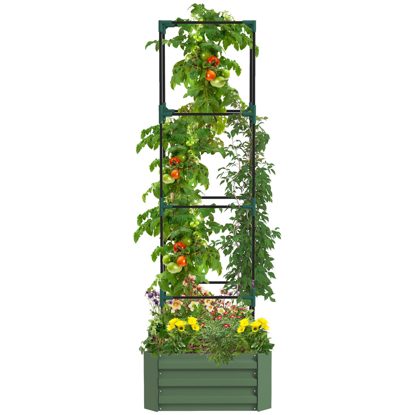 Outsunny Galvanized Raised Garden Bed, 24' x 24' x 11.75' Outdoor Planter Box with Trellis Tomato Cage and Open Bottom for Climbing Vines, Vegetables, Flowers in Backyard, Garden, Patio, Green